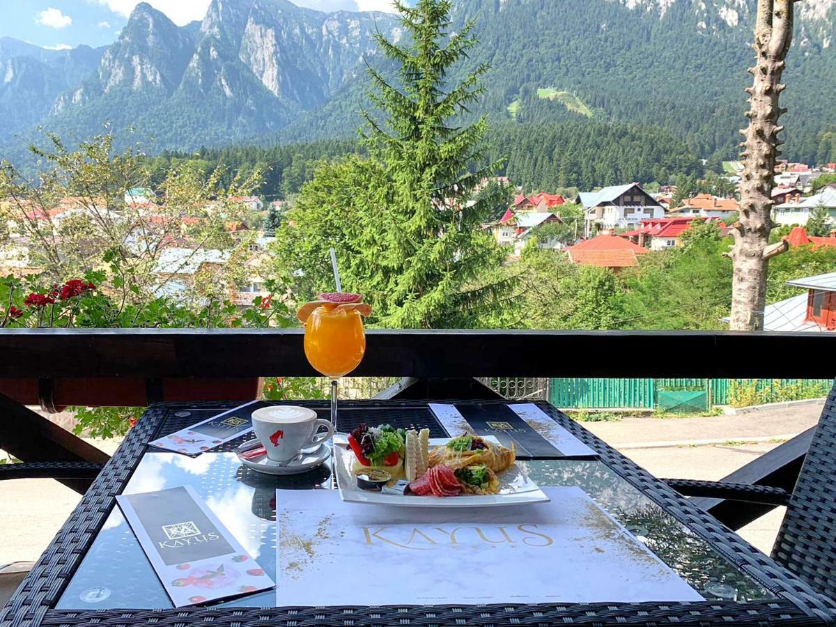 Kayus Hotel Buşteni Exterior foto